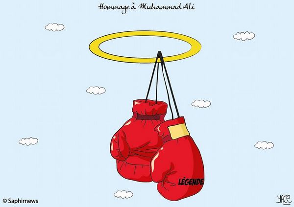 Hommage à Muhammad Ali