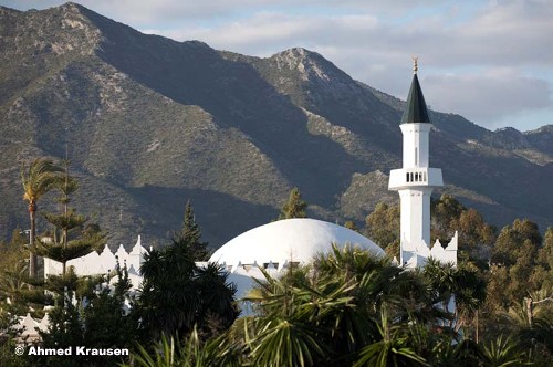 Un tour vers d'autres mosquées européennes