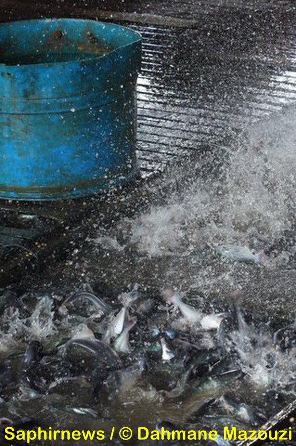 mekong_dahmane mazouzi_7 (Copier).jpg mekong_dahmane mazouzi_7 (Copier).jpg