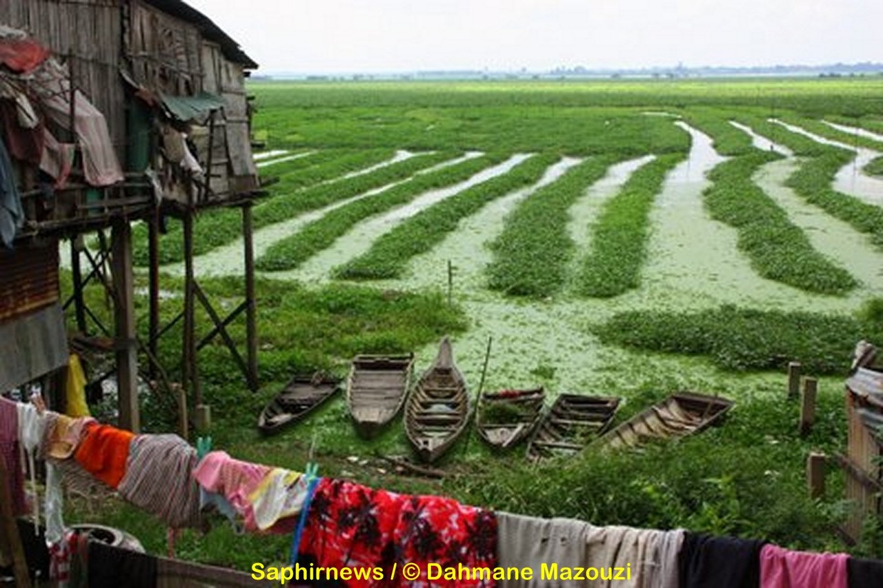 cambodge1_dahmanemazouzi_13 (Copier).jpg cambodge1_dahmanemazouzi_13 (Copier).jpg