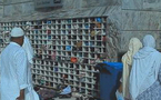 J.21 : 25 nov. 2010 − Des chaussures de pèlerins par milliers 