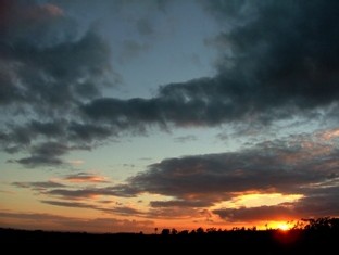 je dédie ce blog à l'amour