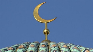 En finir avec les idées fausses sur l'islam et les musulmans, par Omero Marongiu-Perria 
