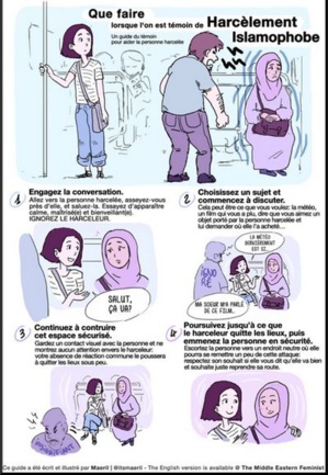 Cliquer sur la photo pour en savoir plus sur la BD. © Maeril
