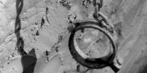 Algérie : les Ahmadis victimes d'une campagne de répression, l'alerte d'Amnesty International Algérie : les Ahmadis victimes d'une campagne de répression, l'alerte d'Amnesty International