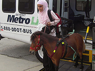 Le poney, planche de salut pour une jeune aveugle musulmane