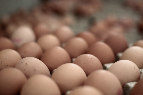 Le marché du halal happe les œufs