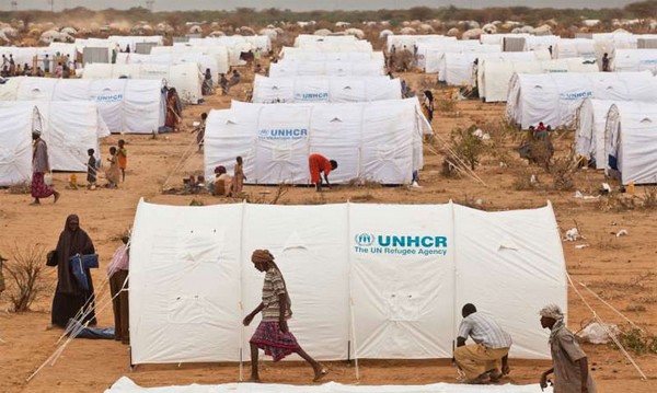 © UNHCR
