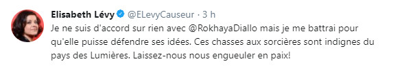 Rokhaya Diallo évincée du Conseil national du numérique pour ses positions