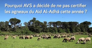 Aïd al-Adha 2018 : pourquoi AVS ne certifiera pas de moutons halal cette année (vidéo)