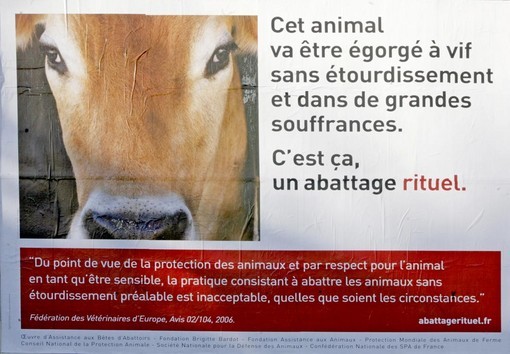 Cette affiche de la campagne nationale contre l'abattage rituel est désormais visible en France.