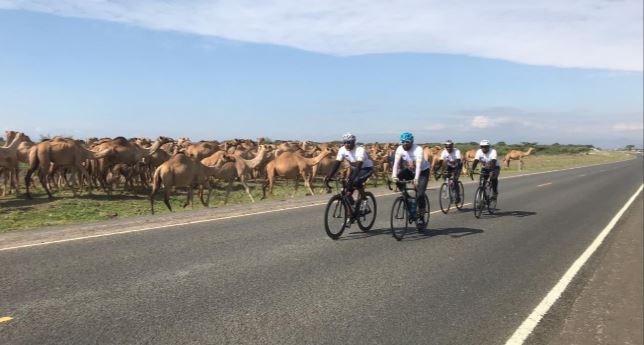 Hajj 2019 : du Kenya à La Mecque, quatre pèlerins ont parcouru 3 500 km à vélo