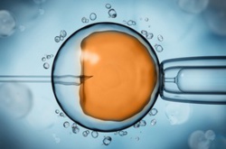 Bioéthique : une contribution musulmane au débat sur l'ouverture de la PMA à toutes les femmes Bioéthique : une contribution musulmane au débat sur l'ouverture de la PMA à toutes les femmes