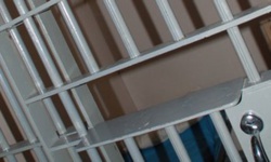 #FreeRamyShaath : plusieurs ONG réclament la libération du coordinateur du mouvement BDS en Egypte #FreeRamyShaath : plusieurs ONG réclament la libération du coordinateur du mouvement BDS en Egypte