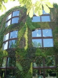 La façade tapissée de verdure