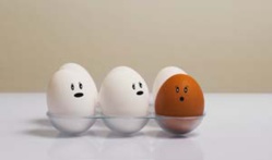 Les stéréotypes raciaux se sont-ils arrêtés aux frontières du pays des droits de l’Homme ? Les stéréotypes raciaux se sont-ils arrêtés aux frontières du pays des droits de l’Homme ?