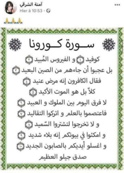 Tunisie : une blogueuse en prison pour avoir partagé une « sourate corona » qui parle Covid-19 Tunisie : une blogueuse en prison pour avoir partagé une « sourate corona » qui parle Covid-19