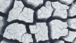 Contre le séparatisme islamiste, prévenir autant que punir Contre le séparatisme islamiste, prévenir autant que punir