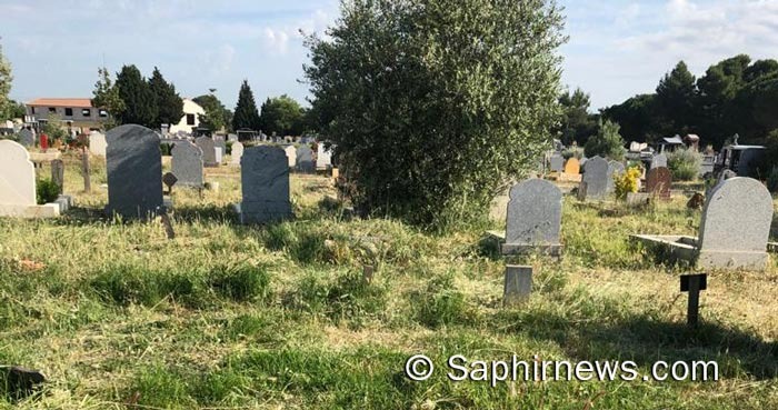 Au cimetière de Montfavet, à Avignon, les habitants déplore de l'état du site, ici dans le carré musulman en date du mardi 1er juin.