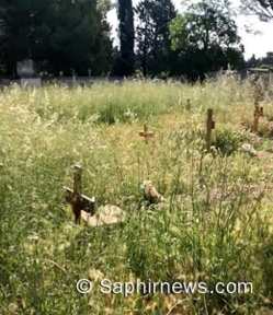 Avignon : un cimetière « laissé à l’abandon » indigne les musulmans, retour sur la polémique