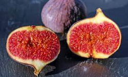 La médecine prophétique dévoilée La médecine prophétique dévoilée