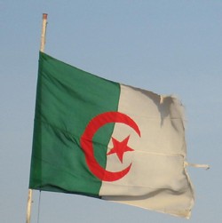 Alger:  un double attentat fait  17 morts