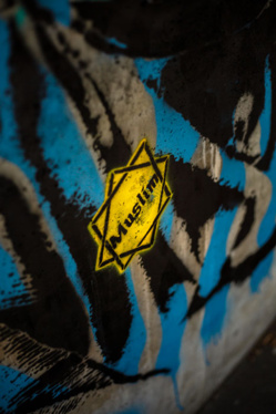 © Goin - Andrea Berlese © Goin - Andrea Berlese