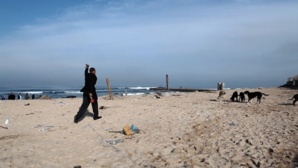 C’est eux les chiens : portrait d’un Casablanca « crado » C’est eux les chiens : portrait d’un Casablanca « crado »