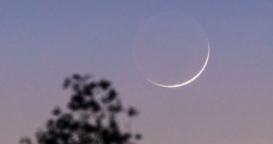 Fin du Ramadan 2022 : divergence en vue pour la date de l'Aïd al-Fitr en France ? Fin du Ramadan 2022 : divergence en vue pour la date de l'Aïd al-Fitr en France ?