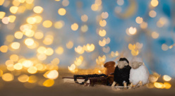 © Deposit Photos © Deposit Photos