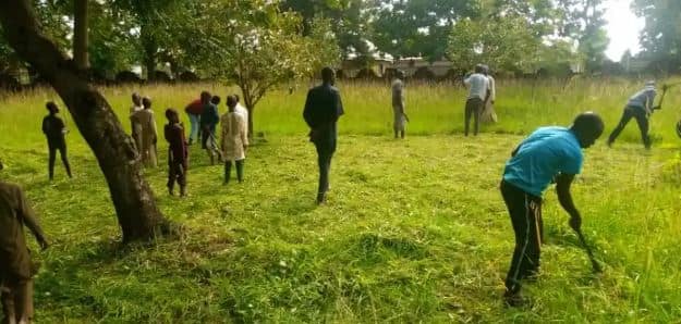 Nigéria : des chrétiens aident leurs voisins musulmans au nettoyage avant l'Aïd al-Adha