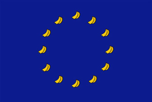 Européennes : Les Indivisibles entrent en campagne pour la diversité Européennes : Les Indivisibles entrent en campagne pour la diversité