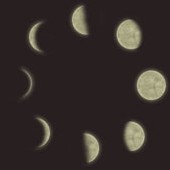 Une lunaison est un cycle complet de la lune.  La durée entre deux pleines lunes est environ 29,5 jours.