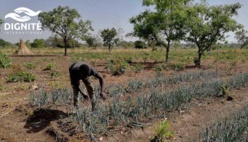 Le droit à la sécurité alimentaire, le défi est mondial ! Le droit à la sécurité alimentaire, le défi est mondial !