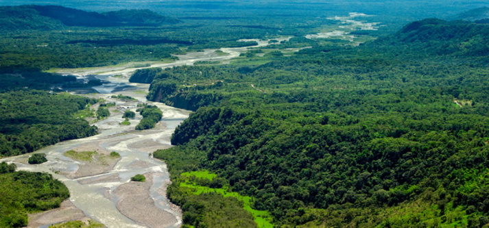 D'Istanbul à Paris, la déclaration islamique sur le changement climatique D'Istanbul à Paris, la déclaration islamique sur le changement climatique