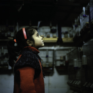 Le photographe Mohamed Lazare Djeddaoui offre un regard différent sur la Syrie. Le photographe Mohamed Lazare Djeddaoui offre un regard différent sur la Syrie.