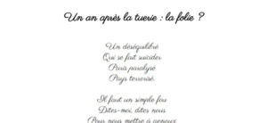 Un an après la tuerie, la folie ? Un an après la tuerie, la folie ?