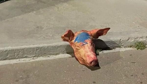 Affaire des têtes de cochon devant des mosquées : des arrestations en Serbie