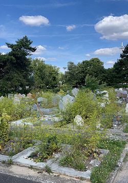 Le carré musulman du cimetière intercommunal de Valenton avant une opération de nettoyage organisée par les communautés musulmanes locales en été 2025. © DR