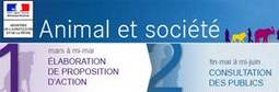 ASIDCOM veut défendre l'abattage rituel sans étourdissement préalable ASIDCOM veut défendre l'abattage rituel sans étourdissement préalable