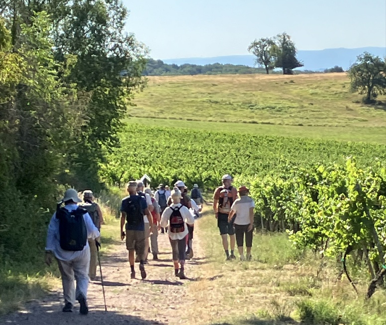 La marche annuelle de l'association Compostelle-Cordoue a eu lieu cette année 2026 du 11 au 18 juillet. © Compostelle-Cordoue