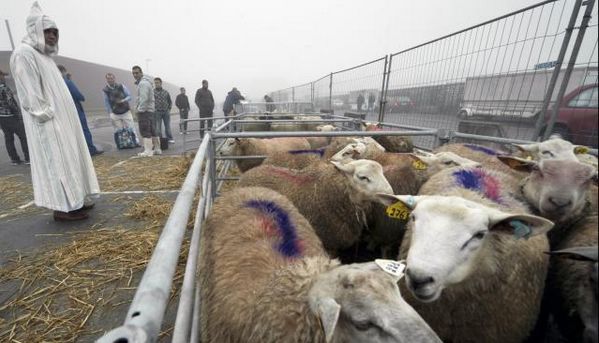 Après le couac de l'Aïd al-Adha 2016, Bruxelles indemnise les musulmans