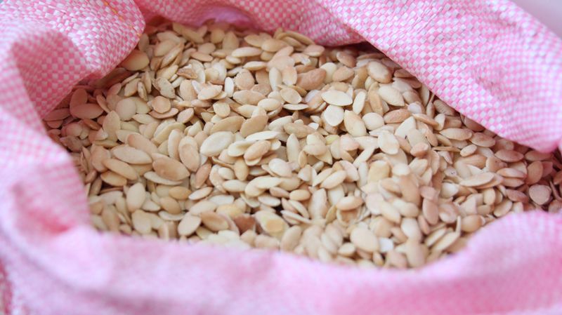 Graines d’argan – Coopérative Tifawin © Women SenseTour in Muslim Countries