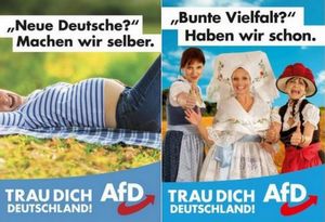 Allemagne : l'entrée tonitruante de l’AfD, parti islamophobe et xénophobe, au Bundestag