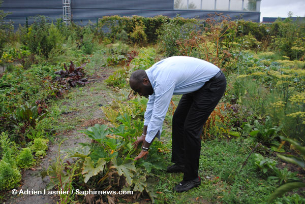 La majeure partie des fruits et légumes produits par la Ferme des possibles sert à l’activité de traiteur pour les entreprises de la coopérative Novaedia.