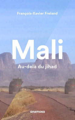 Mali, Au-delà du jihad, par François-Xavier Freland