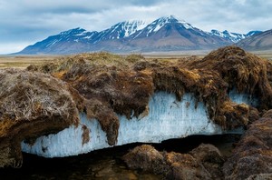 Contre la négligence face au défi climatique, un appel au jihad écologique
