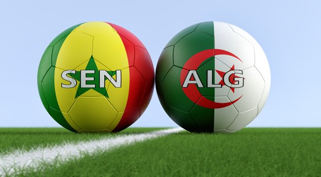 CAN 2019 : l'Algérie fait tomber le Sénégal et remporte la finale