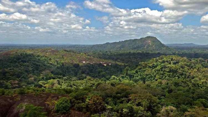 #PrayforAmazonia : pourquoi il faut s’inquiéter de l’état de l’Amazonie, en proie aux flammes