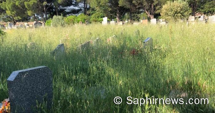 Avignon : un cimetière « laissé à l’abandon » indigne les musulmans, retour sur la polémique